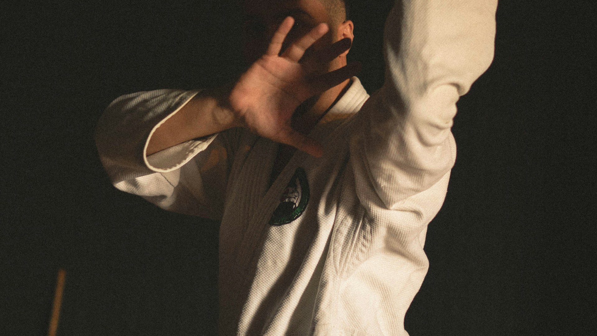 Martial arts training